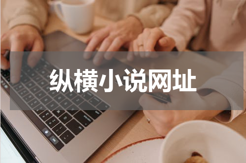 纵横小说网址