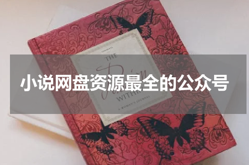 小说网盘资源最全的公众号