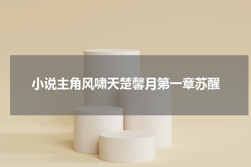 小说主角风啸天楚馨月第一章苏醒