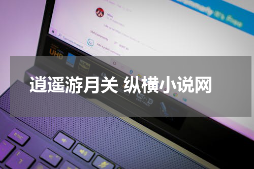 逍遥游月关 纵横小说网