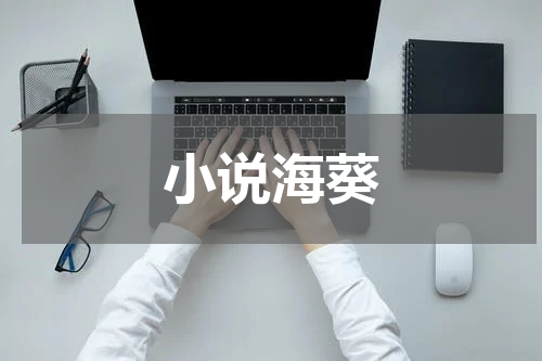 小说海葵
