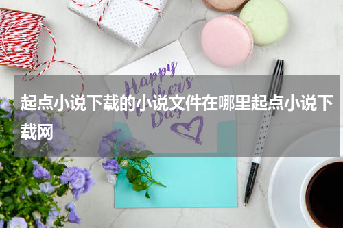起点小说下载的小说文件在哪里起点小说下载网