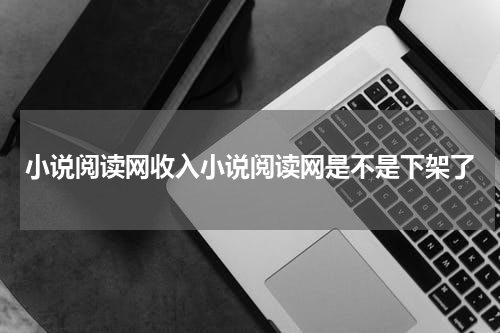 小说阅读网收入小说阅读网是不是下架了