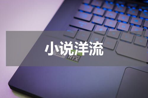 小说洋流