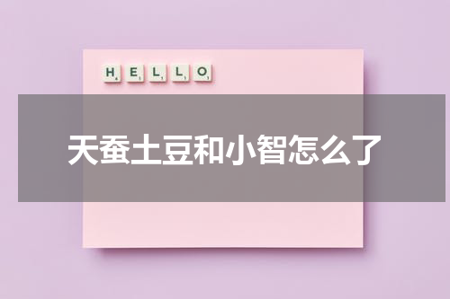 天蚕土豆和小智怎么了