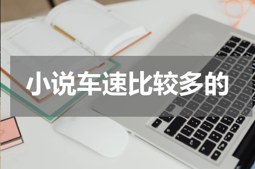 小说车速比较多的