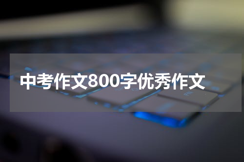 中考作文800字优秀作文