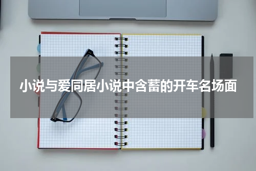 小说与爱同居小说中含蓄的开车名场面