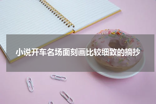 小说开车名场面刻画比较细致的摘抄