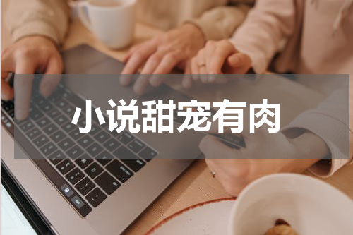小说甜宠有肉