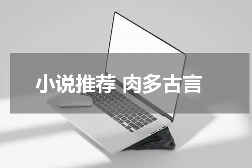小说推荐 肉多古言
