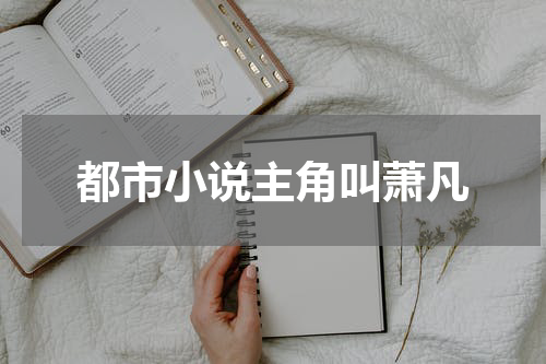 都市小说主角叫萧凡