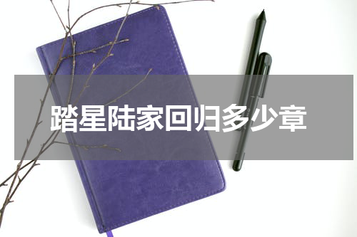 踏星陆家回归多少章
