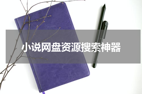 小说网盘资源搜索神器