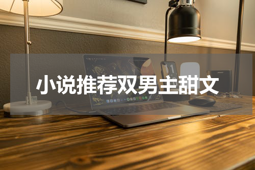 小说推荐双男主甜文
