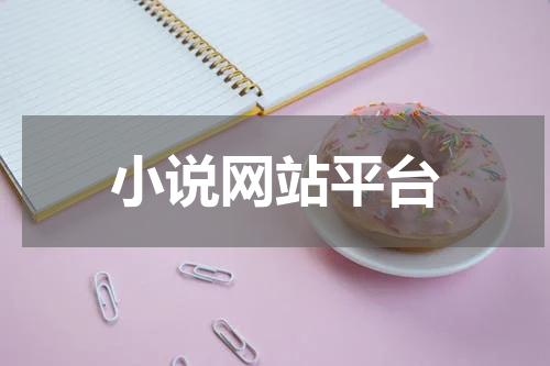 小说网站平台