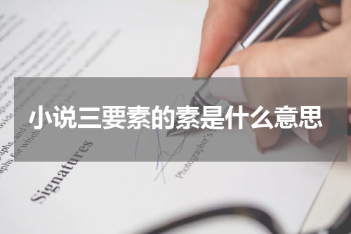 小说三要素的素是什么意思