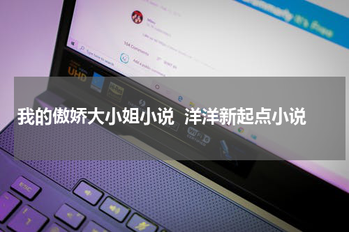 我的傲娇大小姐小说  洋洋新起点小说