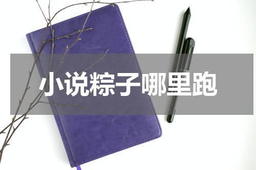 小说粽子哪里跑