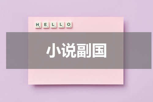 小说副国