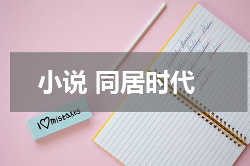 小说 同居时代