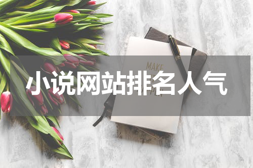 小说网站排名人气