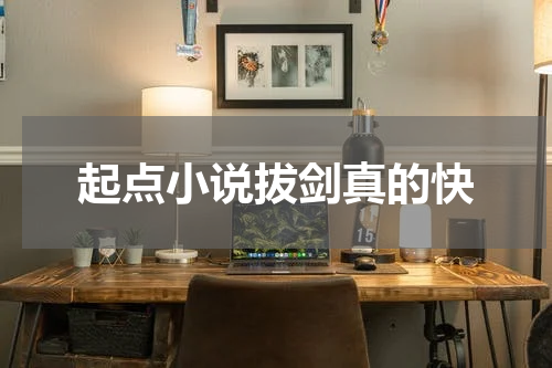 起点小说拔剑真的快
