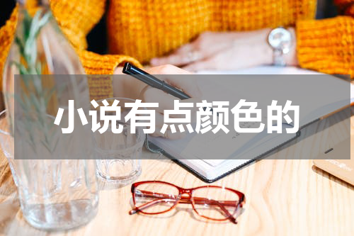 小说有点颜色的