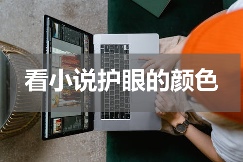 看小说护眼的颜色