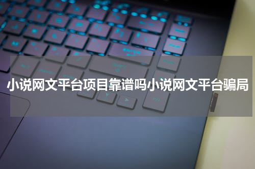 小说网文平台项目靠谱吗小说网文平台骗局