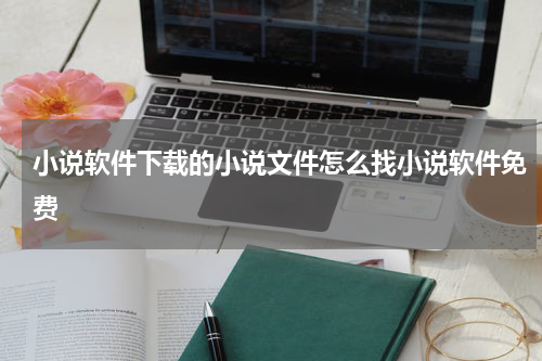 小说软件下载的小说文件怎么找小说软件免费