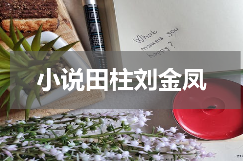 小说田柱刘金凤