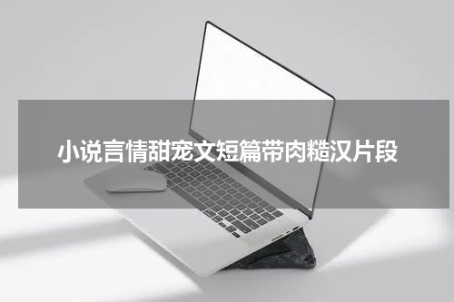 小说言情甜宠文短篇带肉糙汉片段