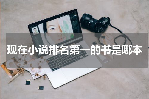 现在小说排名第一的书是哪本
