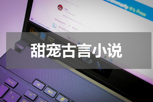 甜宠古言小说