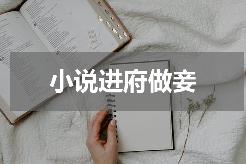 小说进府做妾