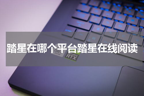 踏星在哪个平台踏星在线阅读