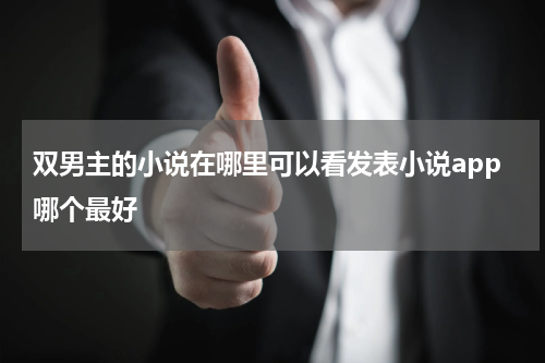 双男主的小说在哪里可以看发表小说app哪个最好