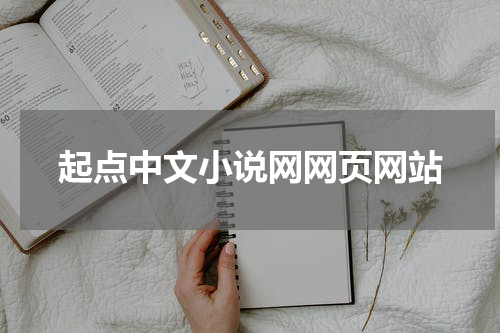 起点中文小说网网页网站