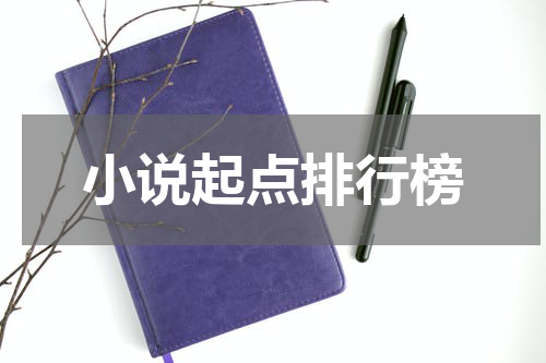 小说起点排行榜