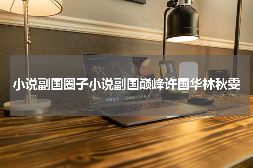 小说副国圈子小说副国巅峰许国华林秋雯