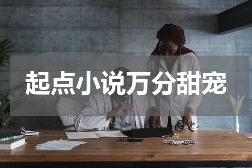 起点小说万分甜宠