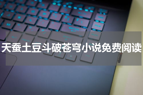 天蚕土豆斗破苍穹小说免费阅读