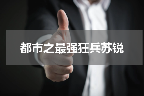 都市之最强狂兵苏锐