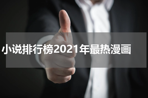 小说排行榜2021年最热漫画