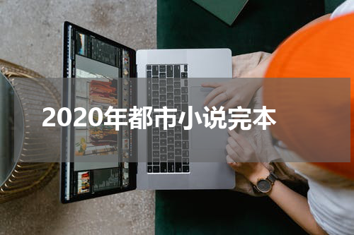 2020年都市小说完本
