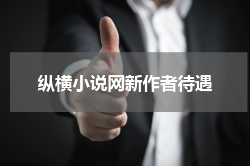 纵横小说网新作者待遇