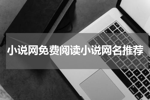 小说网免费阅读小说网名推荐