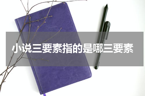 小说三要素指的是哪三要素