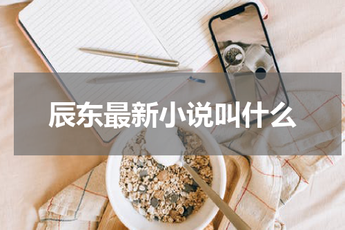 辰东最新小说叫什么